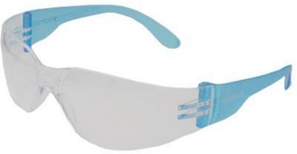 Schutzbrille Spectacle PRO101 (2)