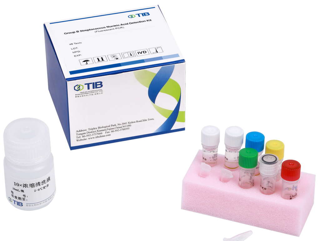 Group B Streptococcus Nucleic Acid Detection Kit