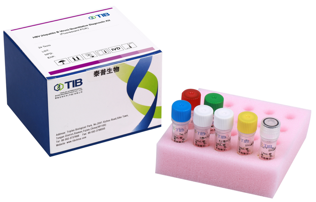 Hepatitis B Virus Nucleic Acid Quantitative Detection Kit