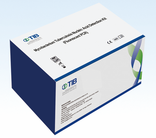 Mycobacterium Tuberculosis TB Nucleic Acids Detection Kit